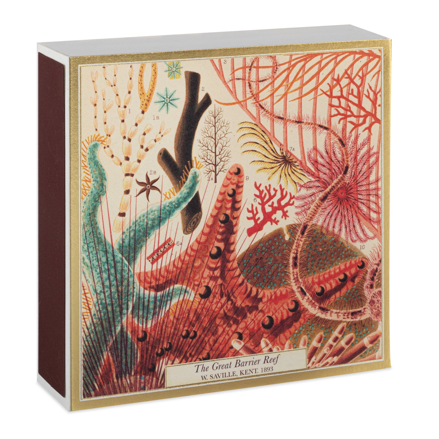 Great Barrier Reef | Square Matchboxes