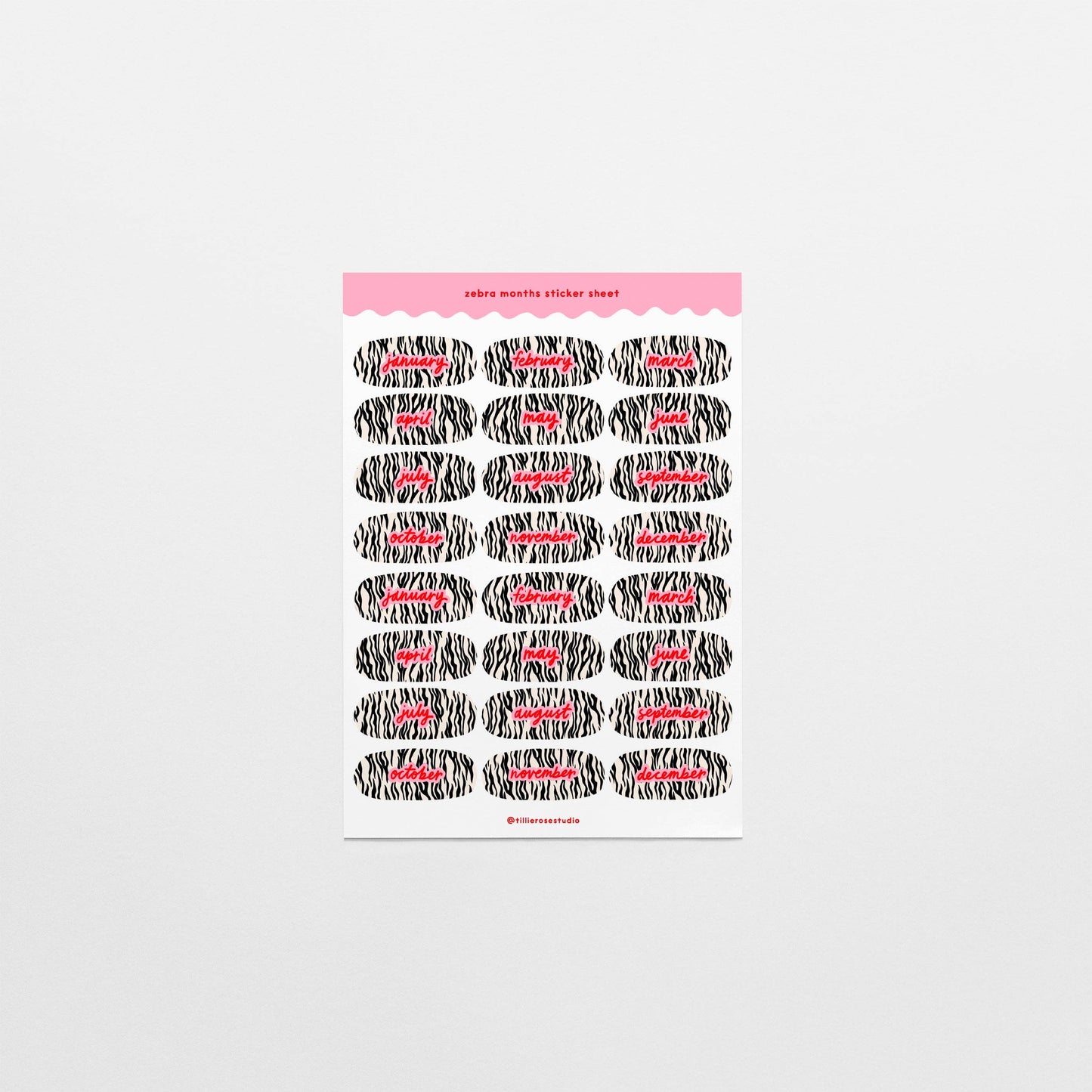 Zebra Months Sticker Sheet