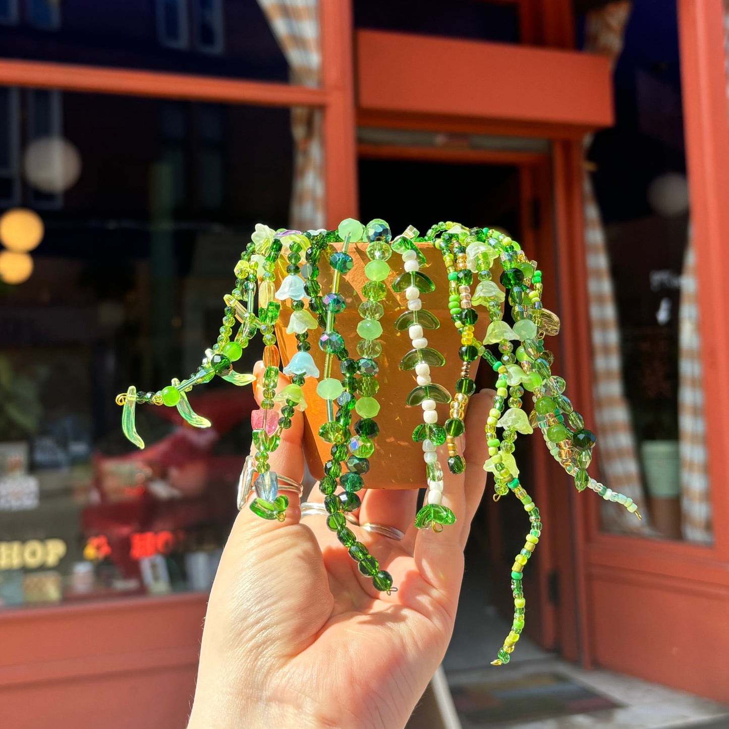 Beaded Plant Making - Friday 26th June - 6:30pm - 9pm