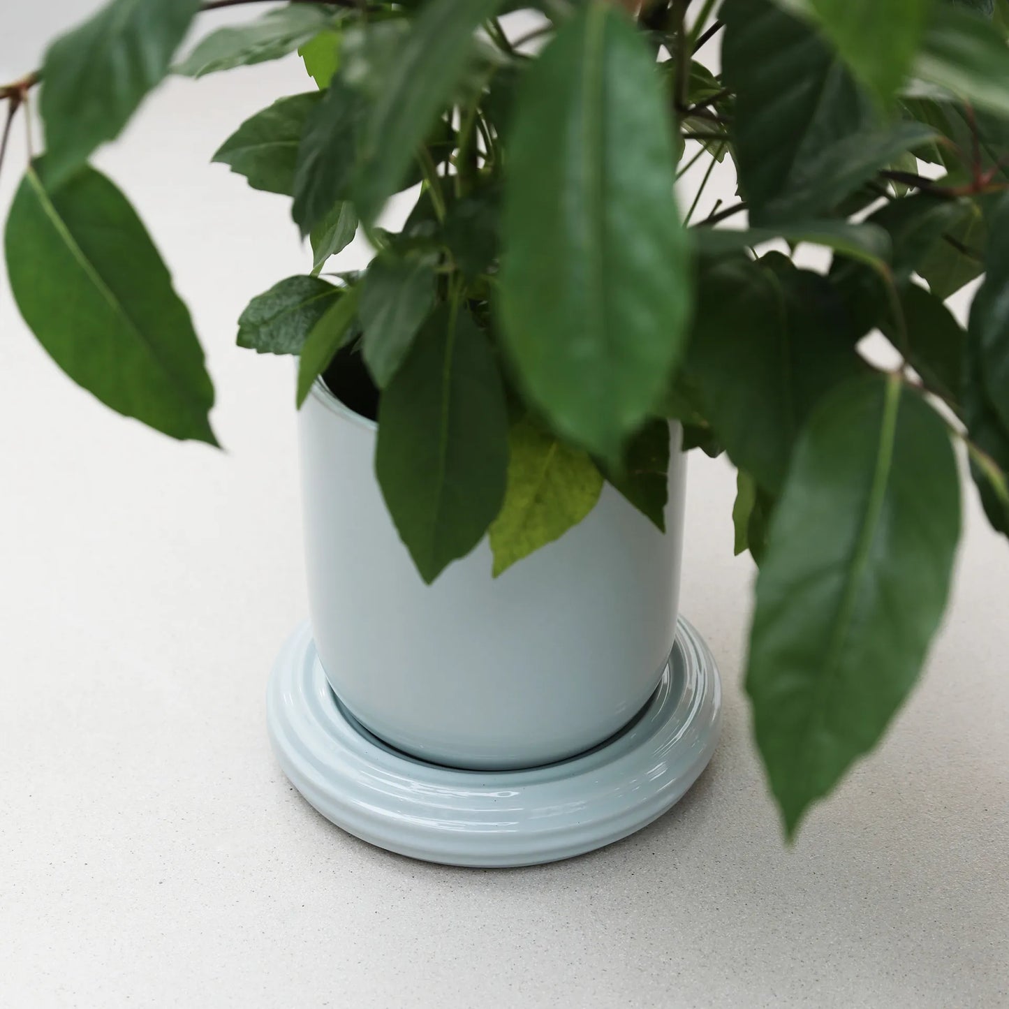 Churros Planter - Mist Pale Blue Grey