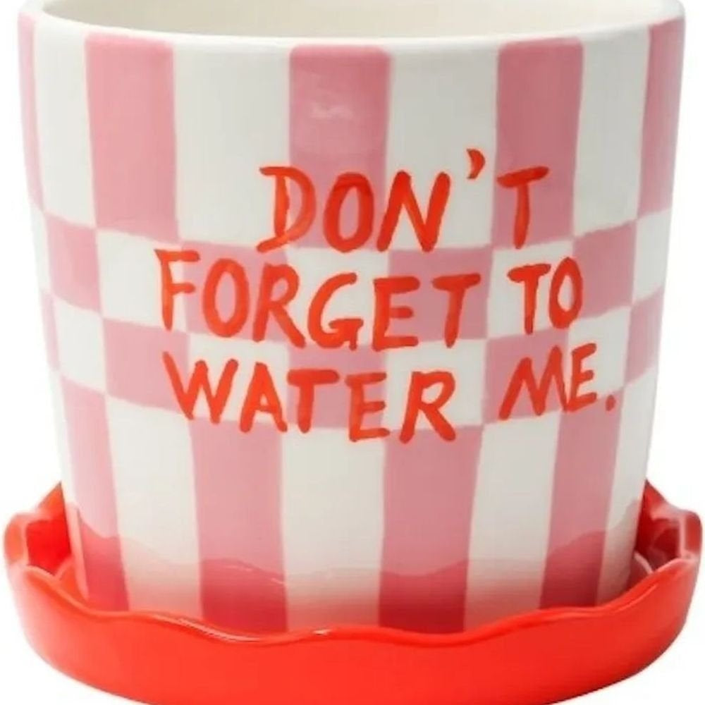 Don't Forget to Water Me - Checked Pink and Red Pot with Frilly Saucer