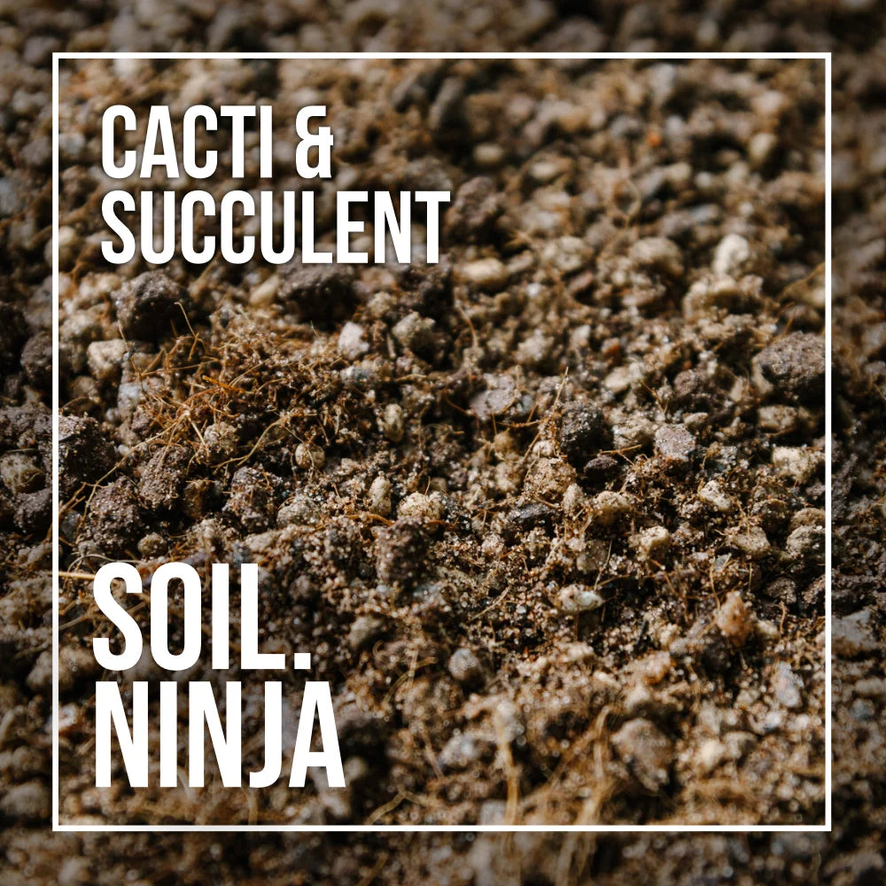 Soil Ninja - Catci + Succulent