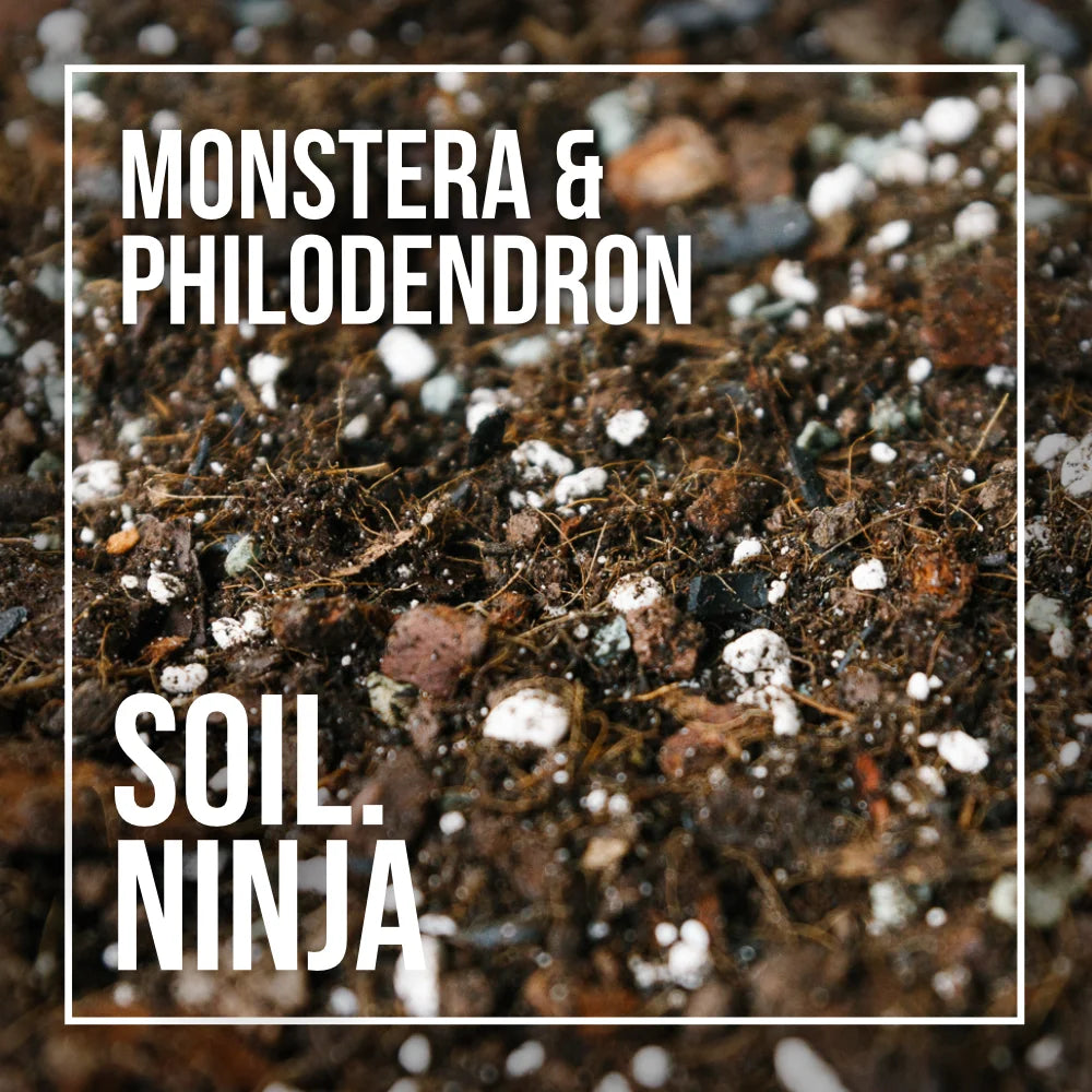 Soil Ninja - Monstera + Philodendron