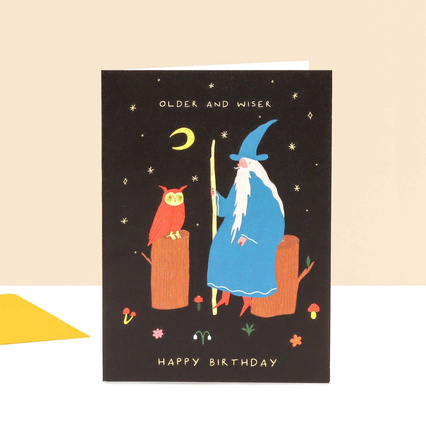 Older and Wiser Birthday Card | Wizard Card | Men's Birthday