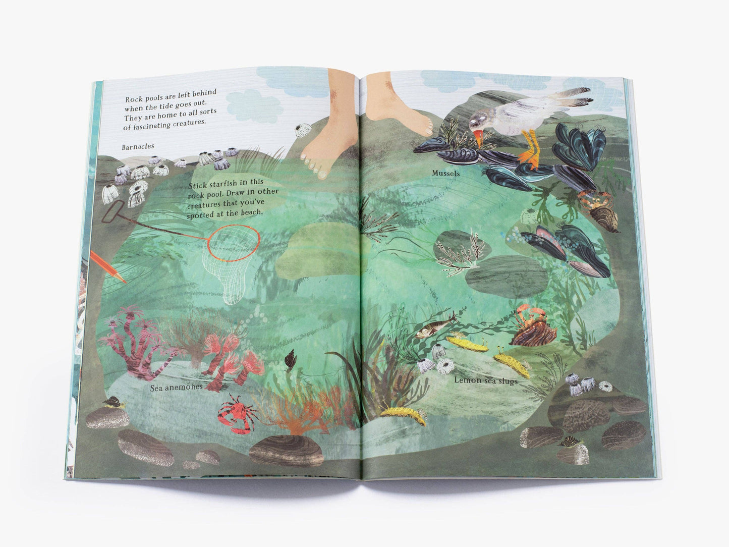 The Big Sticker Book of the Blue (The Big Book series)
