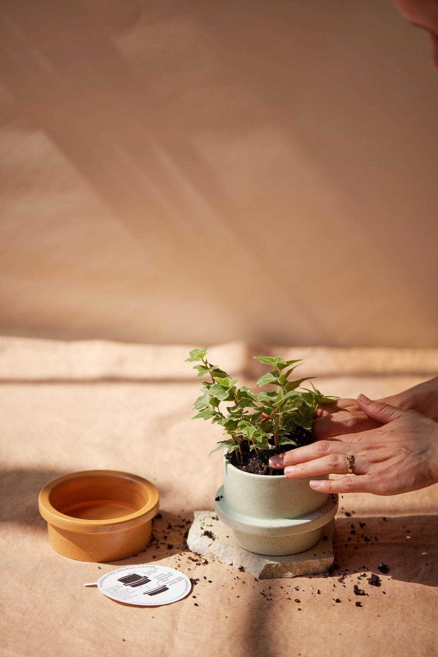 Paddywax Folia Ceramic Candle - Sage - Bamboo & Green Tea