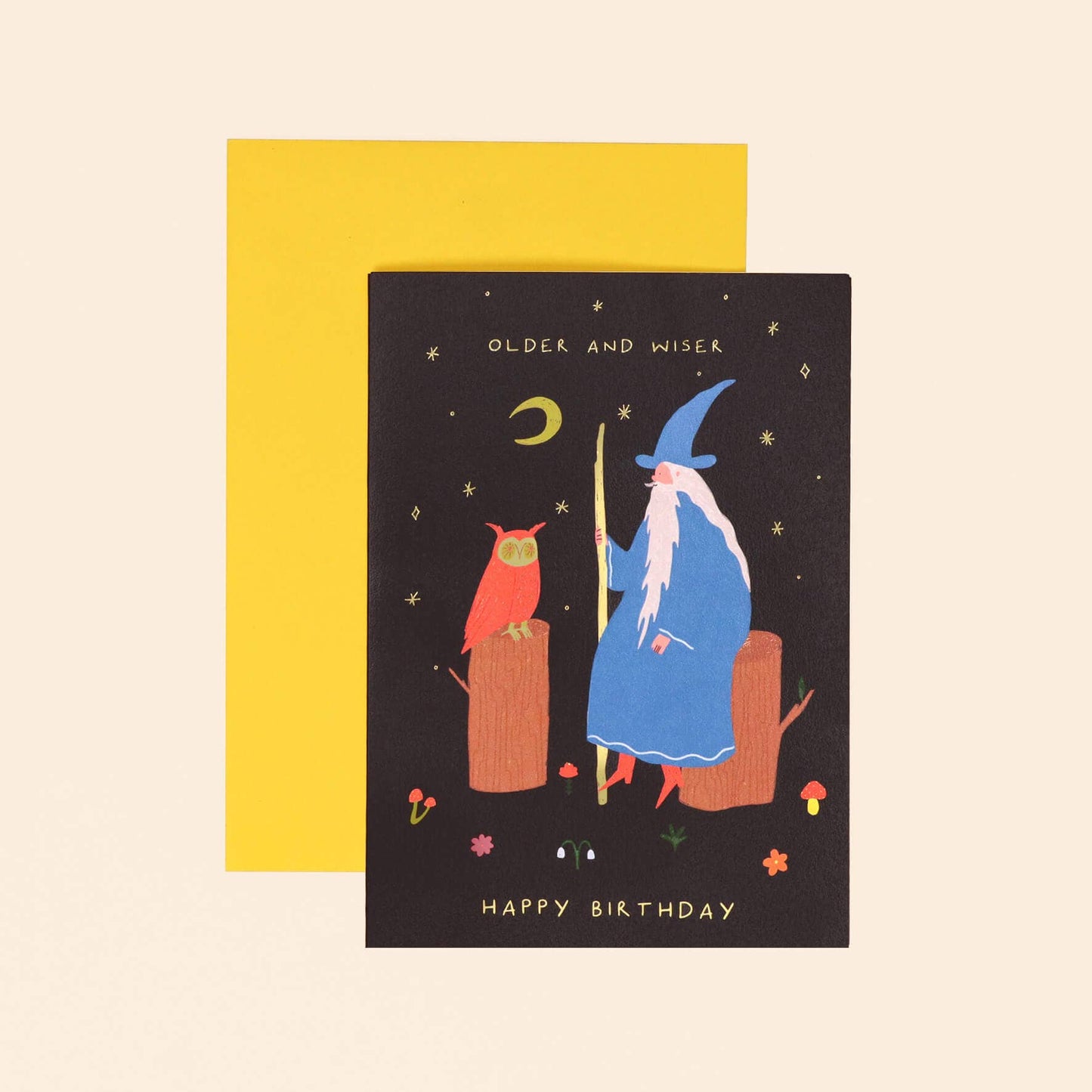Older and Wiser Birthday Card | Wizard Card | Men's Birthday
