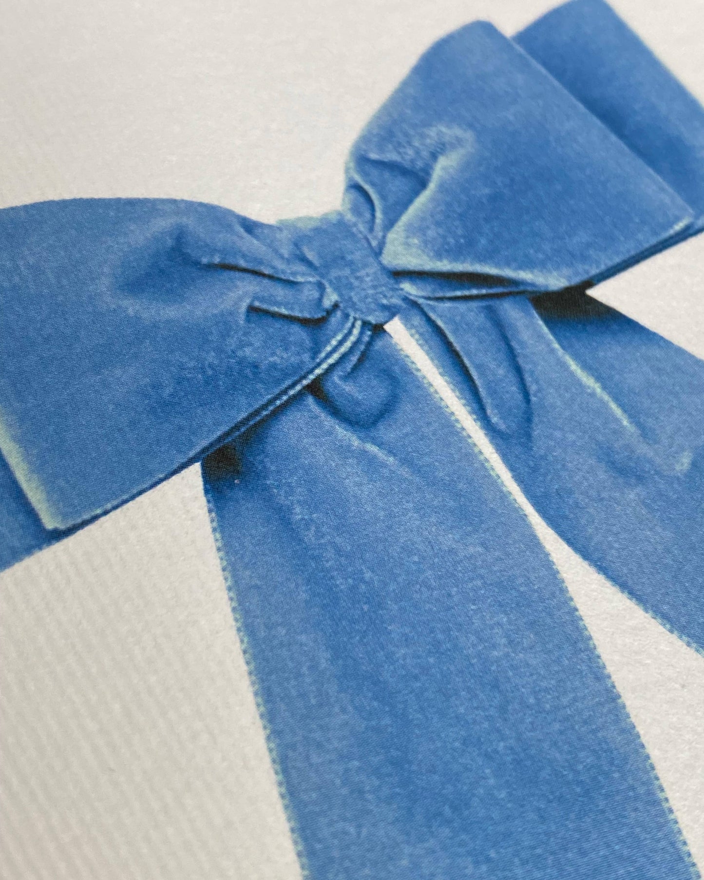 Baby Blue Velvet Bow Greeting Card | Birthday Card