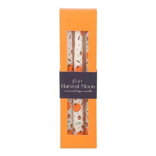 Set of 3 Pumpkin Print Autumn Candles