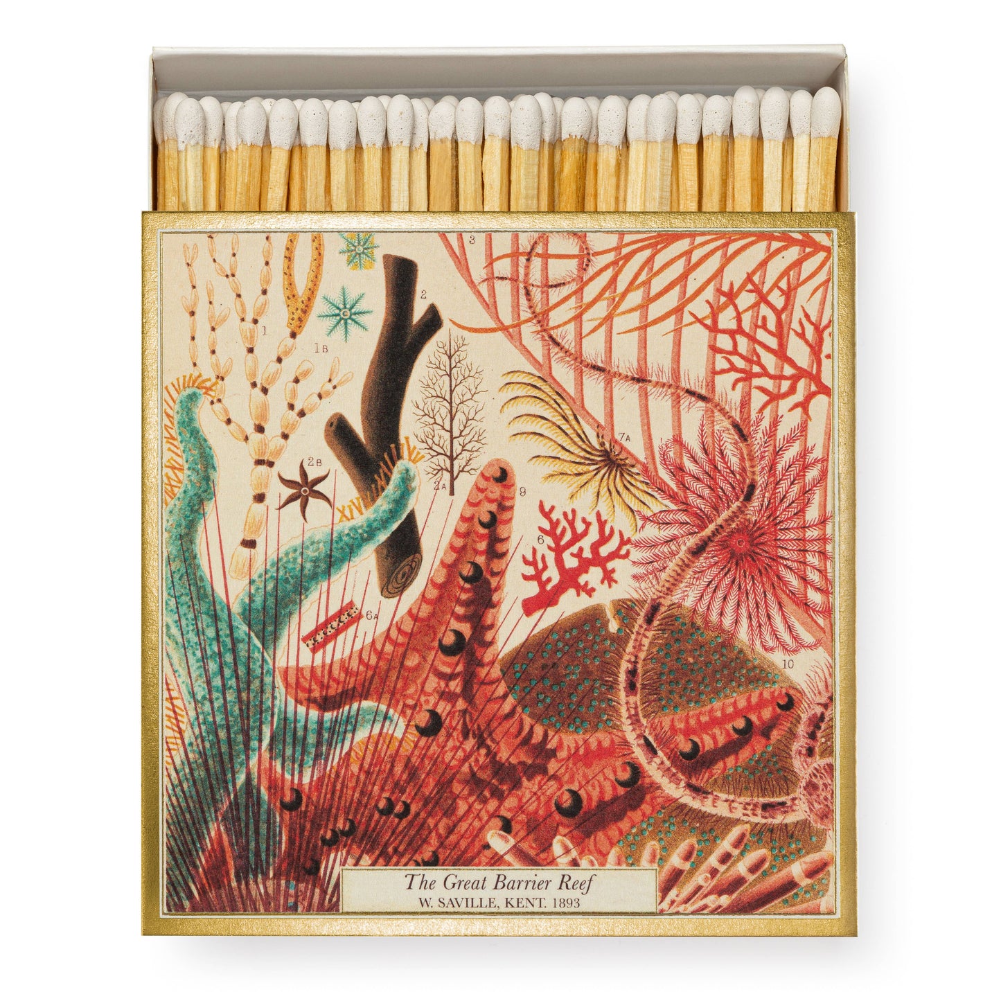 Great Barrier Reef | Square Matchboxes