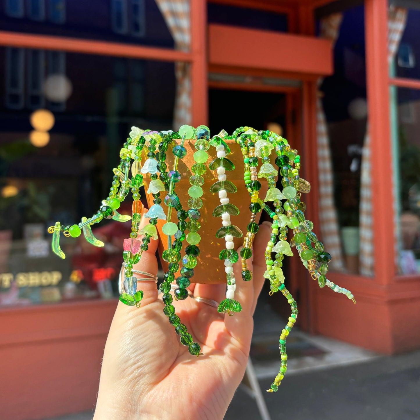 Beaded Plant Making - Friday 26th June - 6:30pm - 9pm