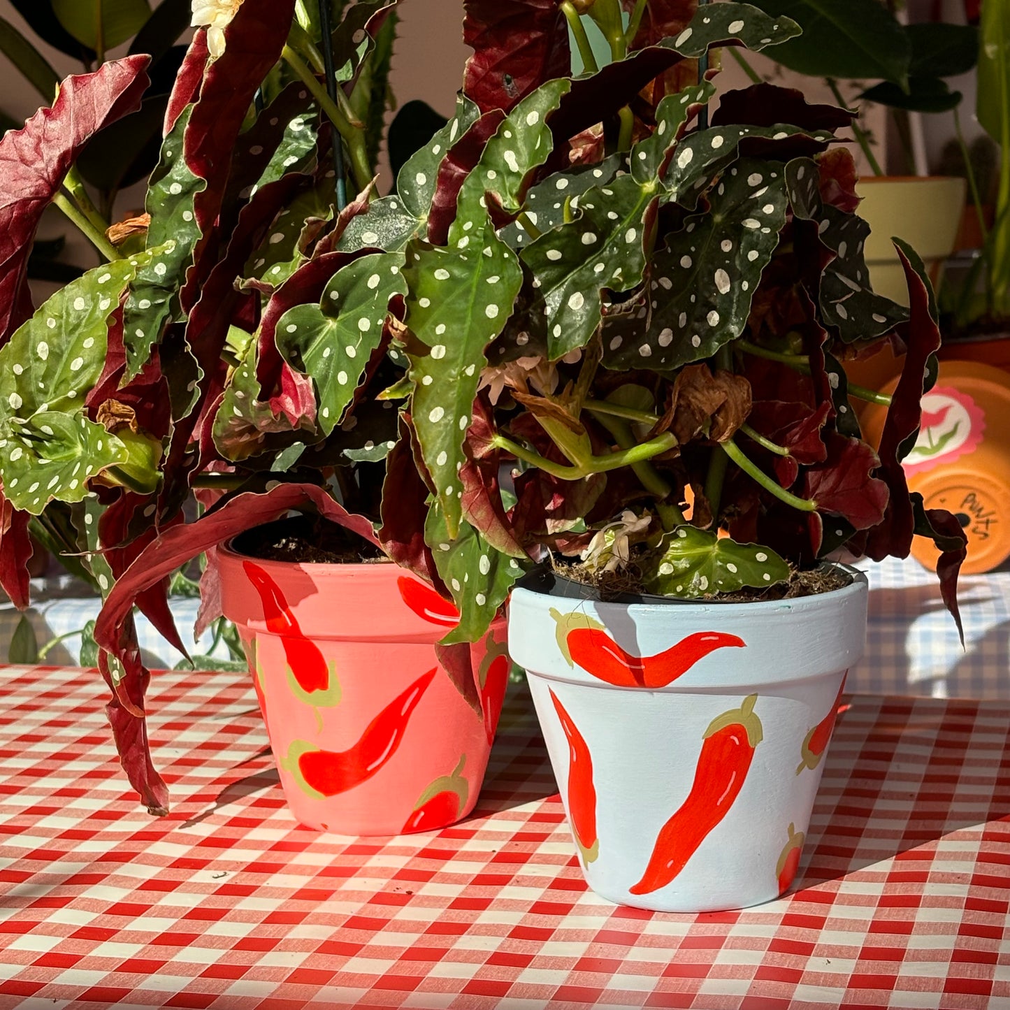 Chilli Pepper Plant Pot - Hand Painted Pot