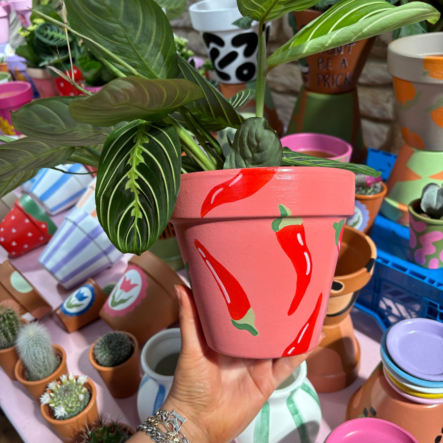 Chilli Pepper Plant Pot - Hand Painted Pot