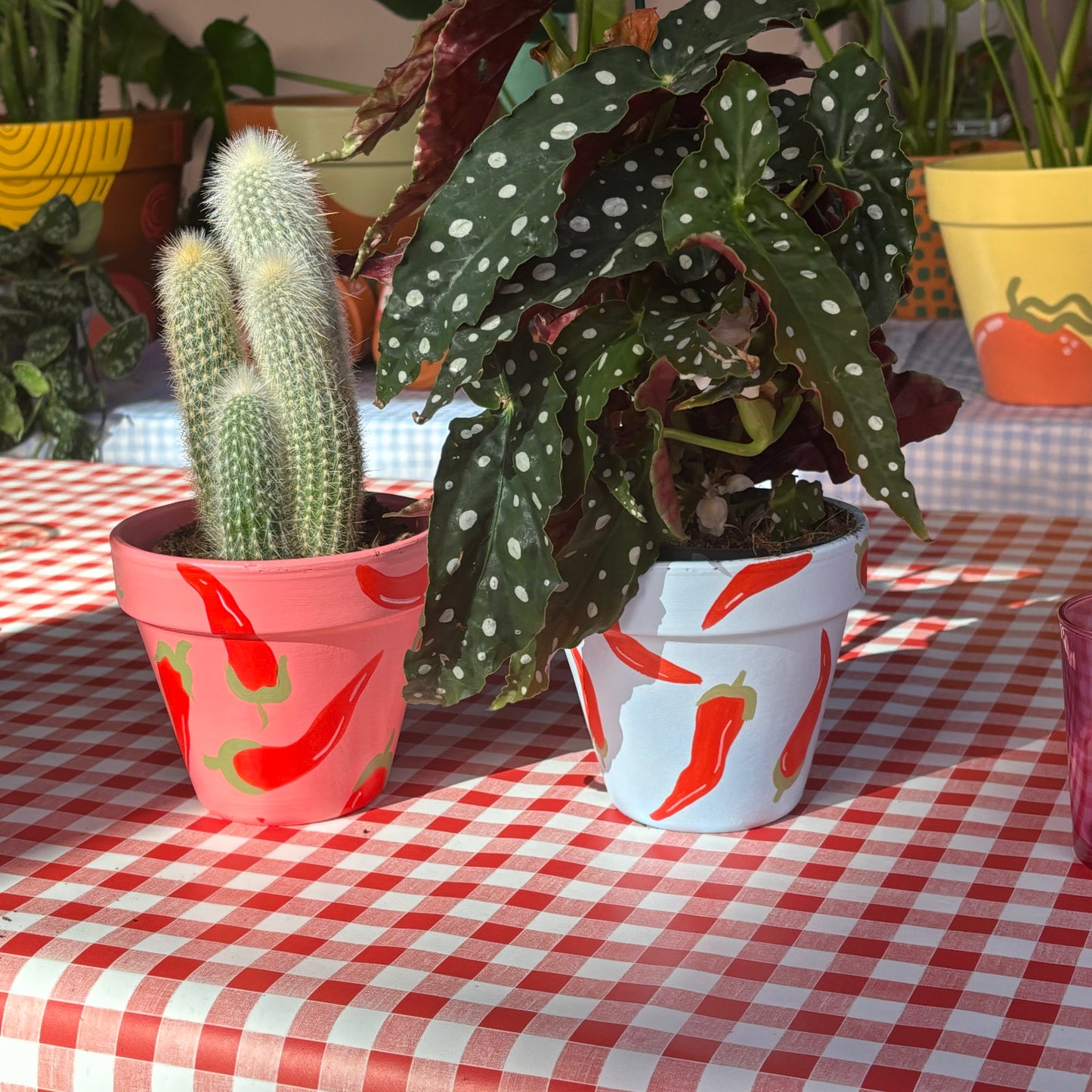 Chilli Pepper Plant Pot - Hand Painted Pot