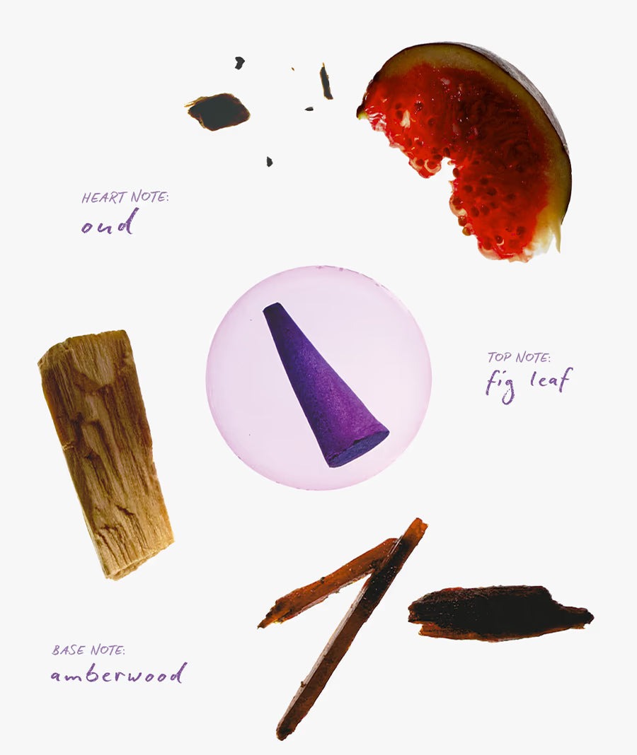 Ripple Incense Cones - Dream - Firewood Fig Leaf Aroma