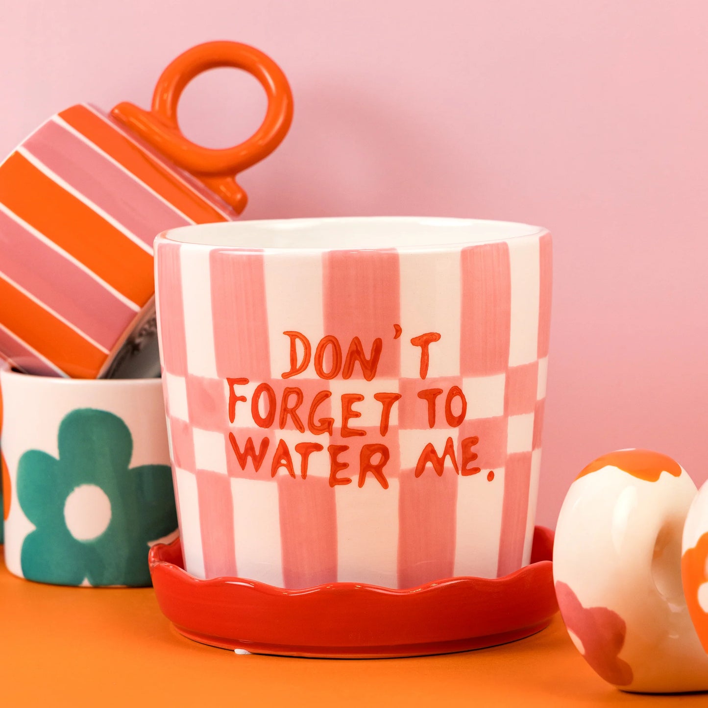 Don't Forget to Water Me - Checked Pink and Red Pot with Frilly Saucer
