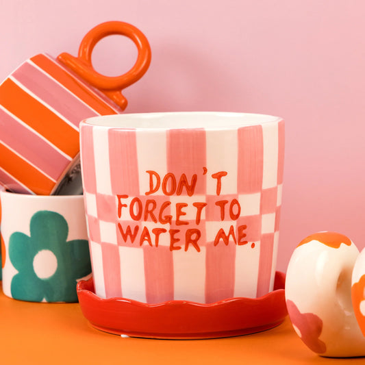 Don't Forget to Water Me - Checked Pink and Red Pot with Frilly Saucer