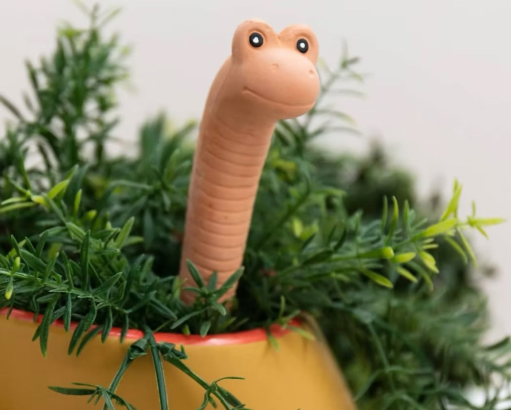 Willy the worm