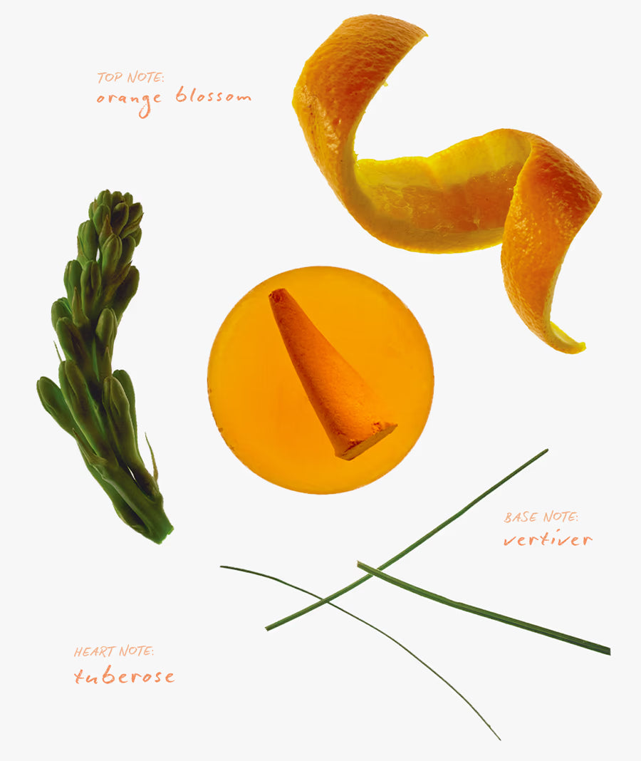 Ripple Incense Cones - Focus - Orange Blossom Mandarin Aroma