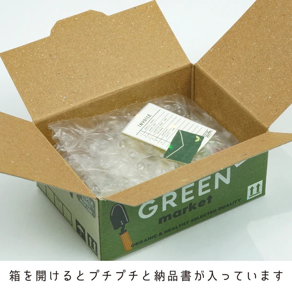 HACO Green Market Plant Shop - Box of Flake Japanese Stickers