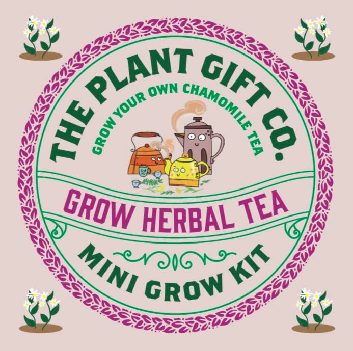 Herbal Tea. Eco Mini Grow-Kit - chat