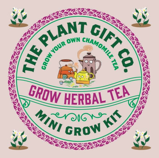 Herbal Tea. Eco Mini Grow-Kit - chat
