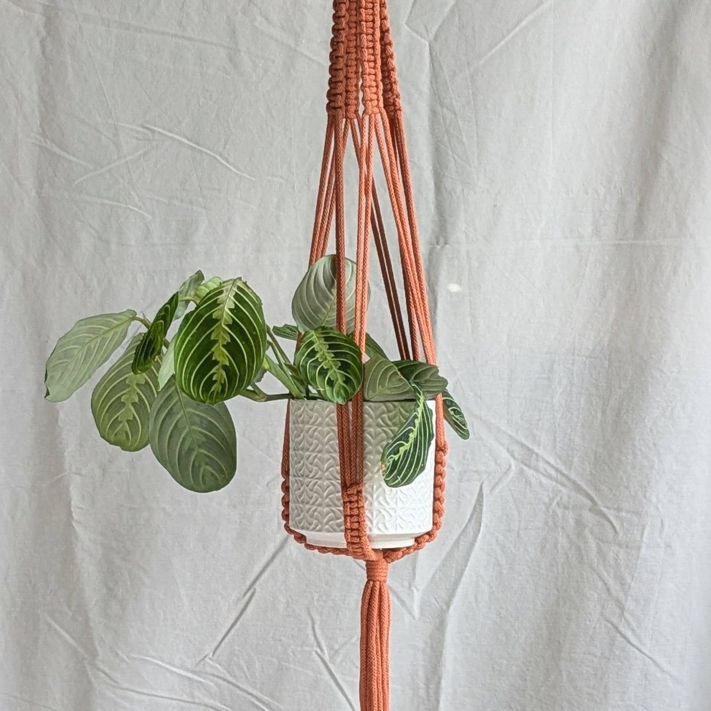 Large Macrame Plant Hanger | Eco Friendly | Recycled Cotton: Yellow