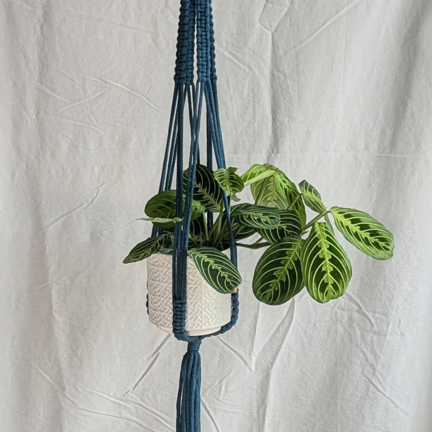 Large Macrame Plant Hanger | Eco Friendly | Recycled Cotton: Yellow
