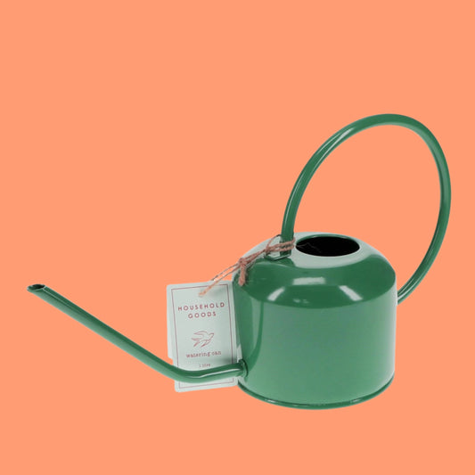 Metal Watering Can 1Ltr - Dark Green