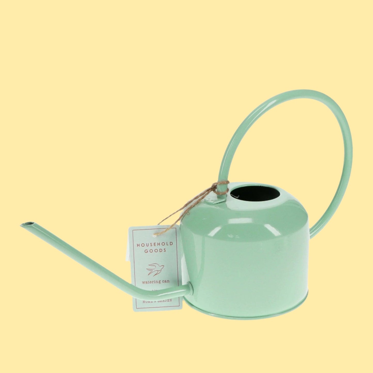 Metal Watering Can 1Ltr - Pistachio