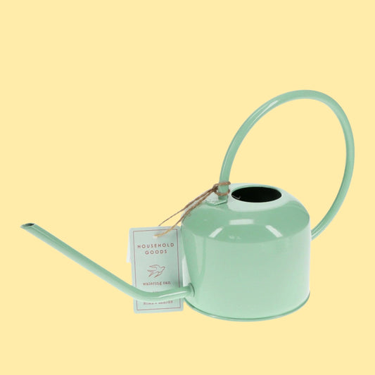 Metal Watering Can 1Ltr - Pistachio