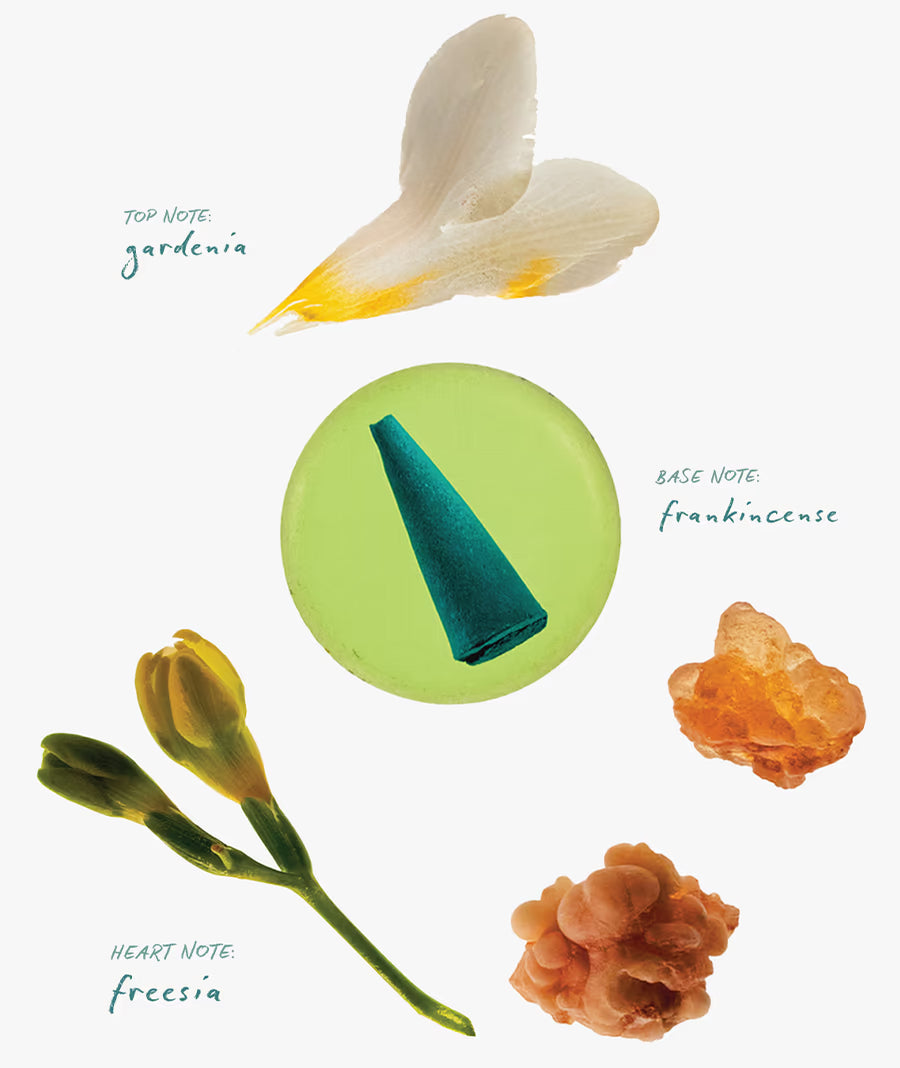 Ripple Incense Cones - Power - Forest Air Gardenia Aroma