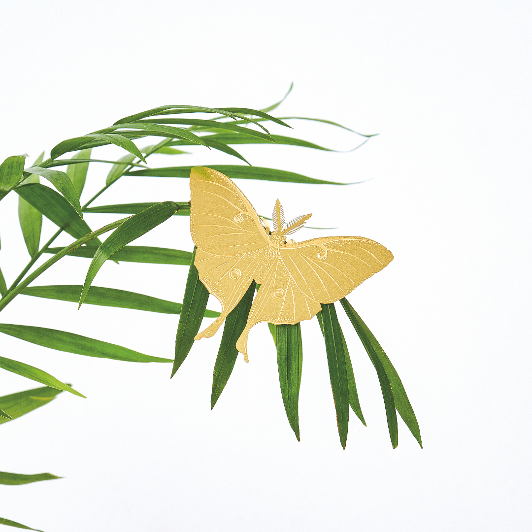 Plant Animal - Luna Moth