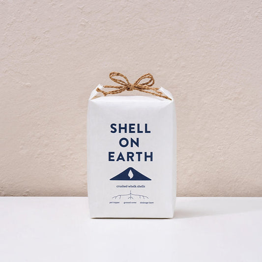 Shell on Earth - 1kg