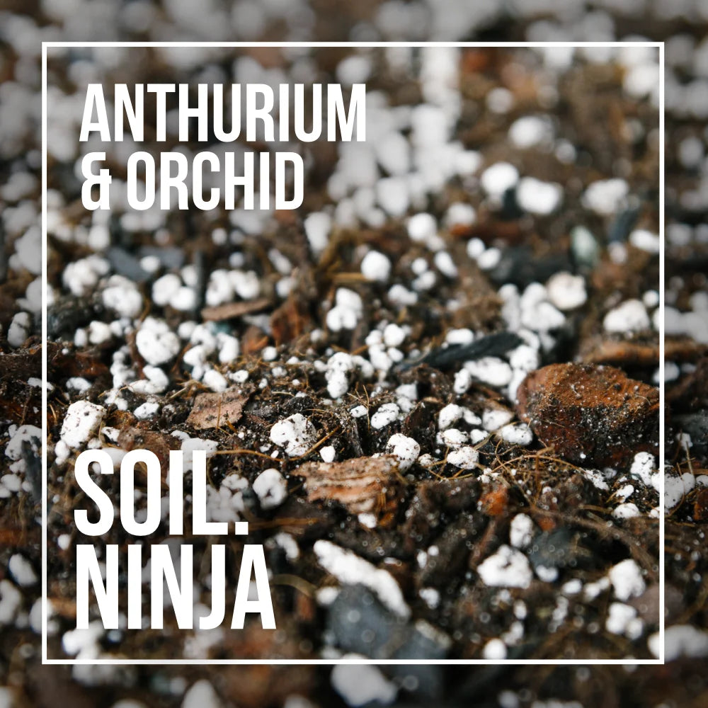 Soil Ninja - Anthurium