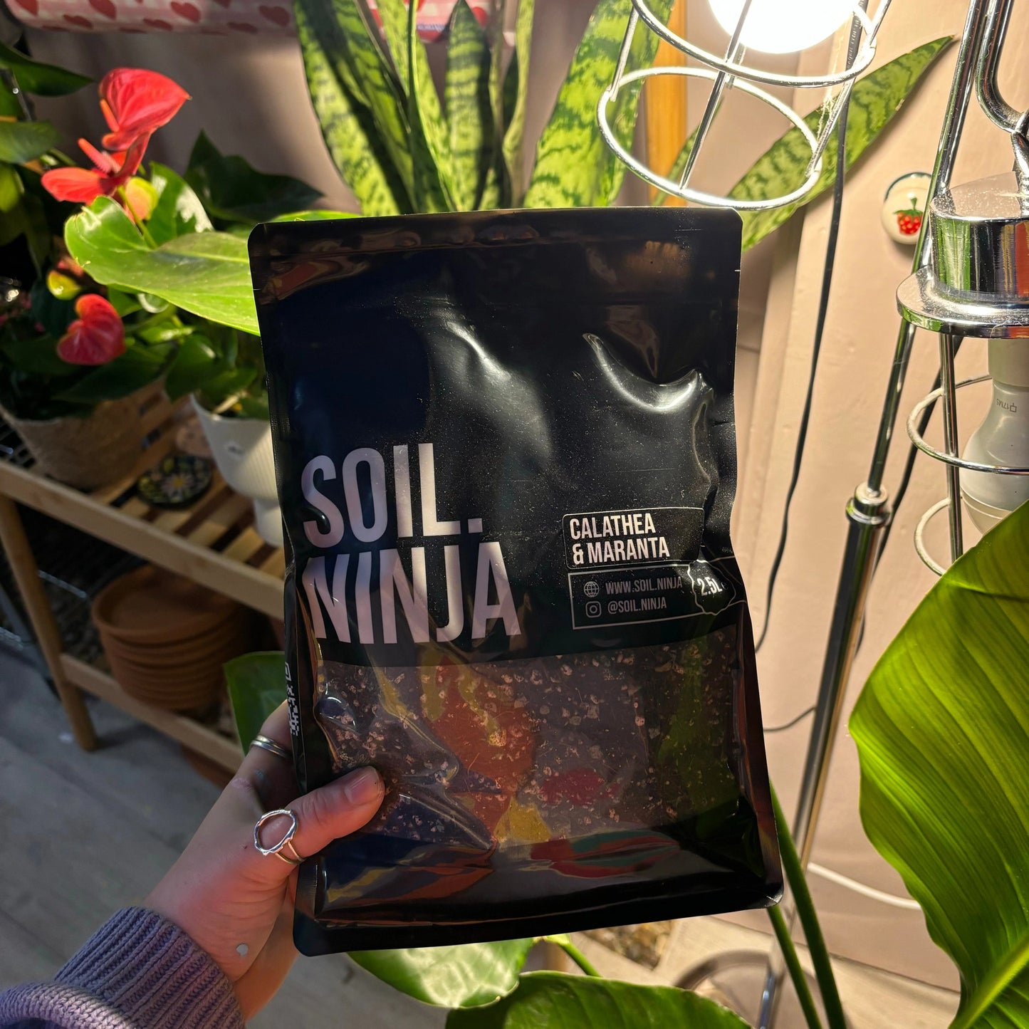 Soil Ninja - Calathea + Maranta