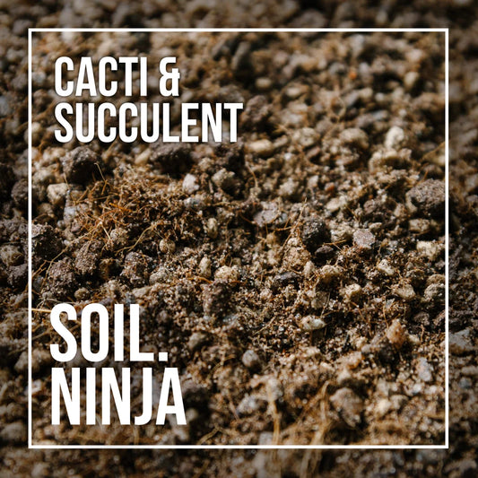 Soil Ninja - Catci + Succulent
