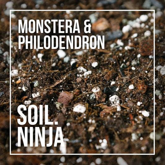 Soil Ninja - Monstera + Philodendron