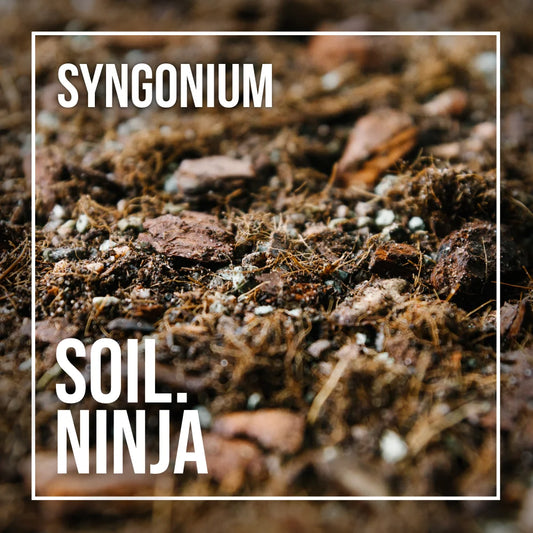 Soil Ninja - Sygonium