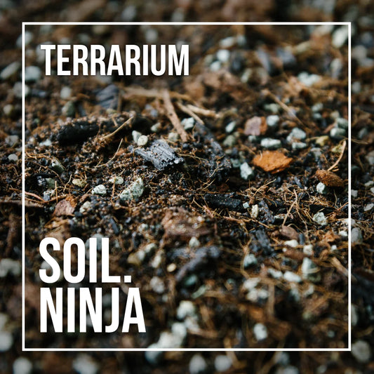 Soil Ninja - Terrarium