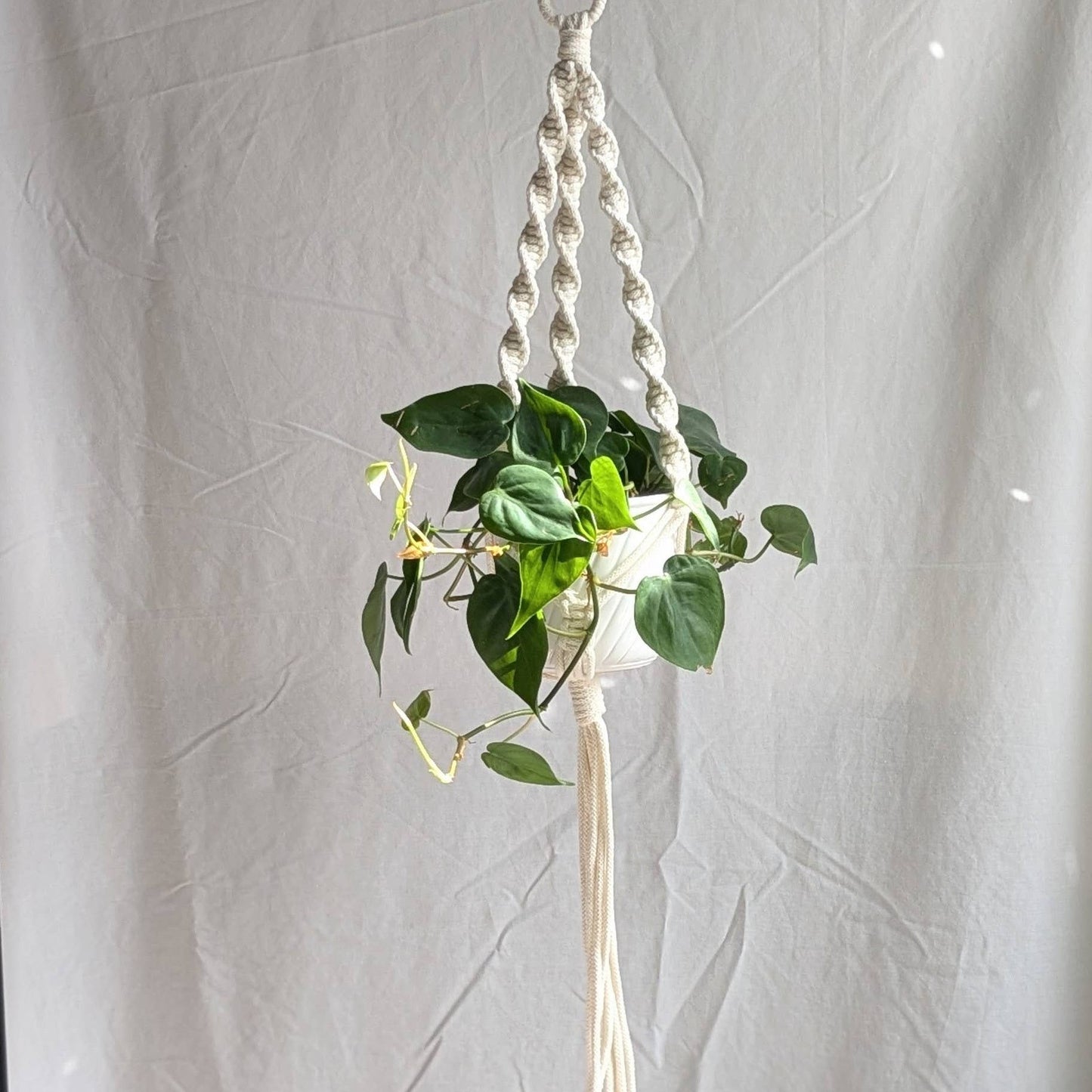 Spiral Macrame Plant Hanger | Eco Friendly | Recycled Cotton: Natural