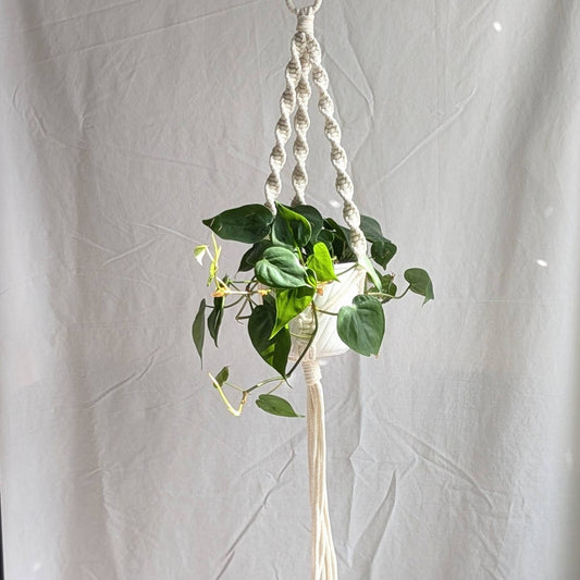 Spiral Macrame Plant Hanger | Eco Friendly | Recycled Cotton: Natural