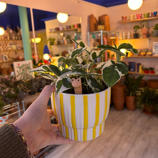 Willy the Worm - Water Sensor