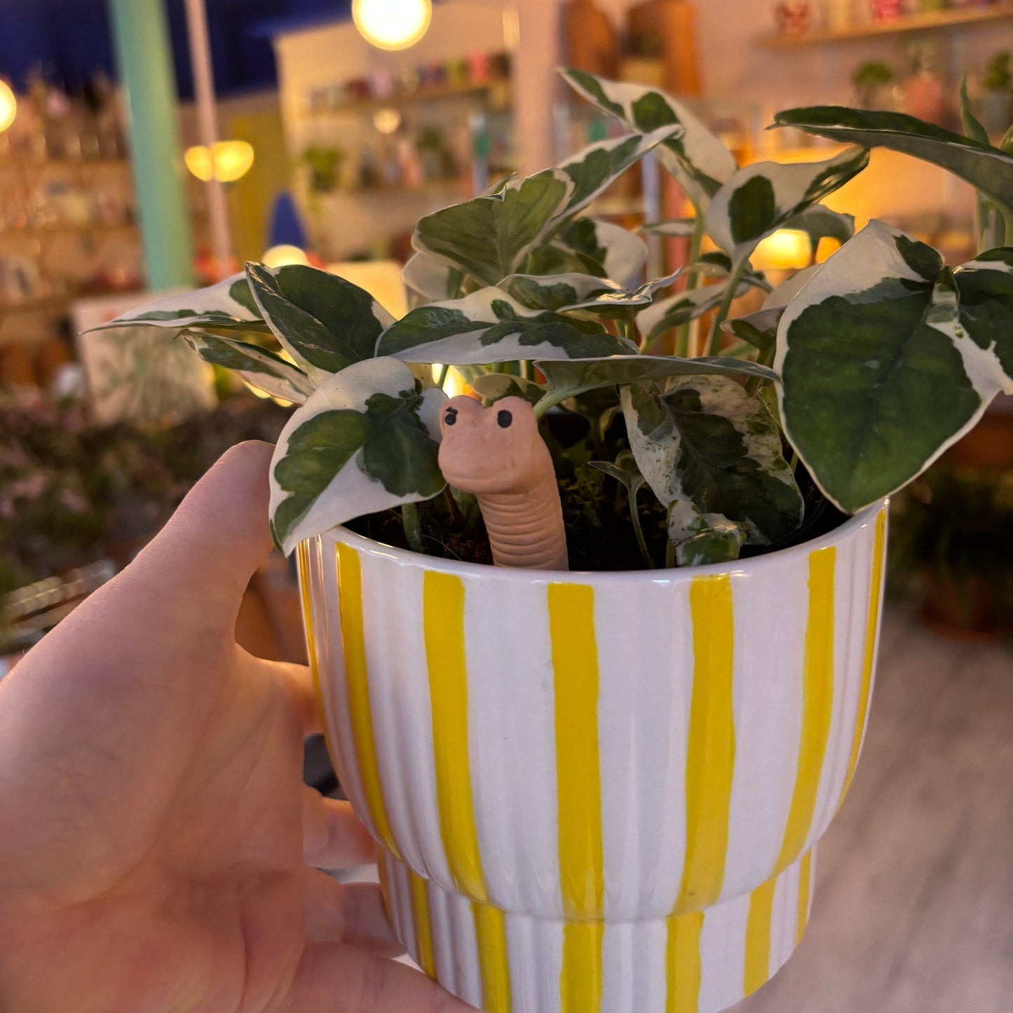 Willy the Worm - Water Sensor