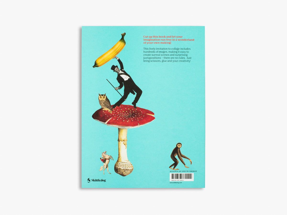 Cut Up This Book and Create Your Own Wonderland (Cut up this Book)