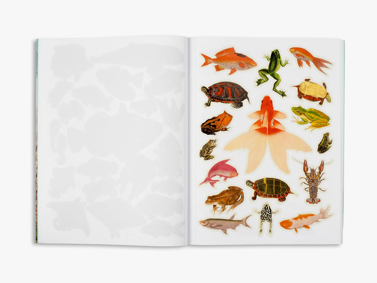 Cut Up This Book and Create Your Own Wonderland (Cut up this Book)