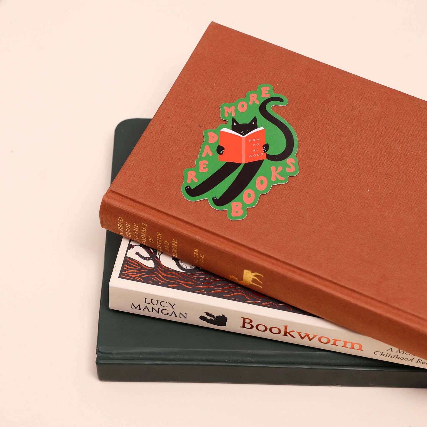 Read More Books Sticker | Black Cat Vinyl Sticker | Cute