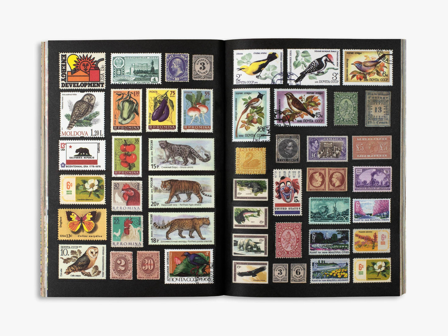 The Curious Collections Sticker Book